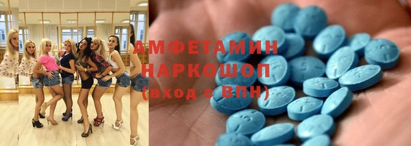 прущие грибы Абинск